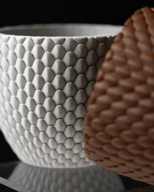 DRAGONSCALE PLANTER