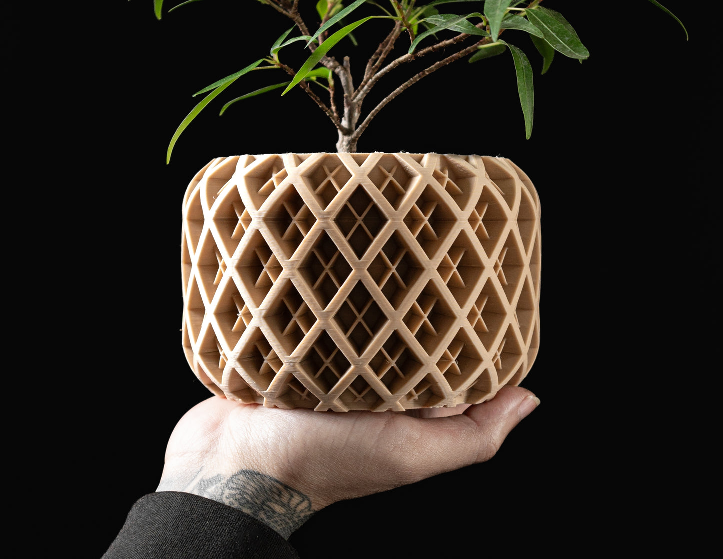 TORIO PLANTER