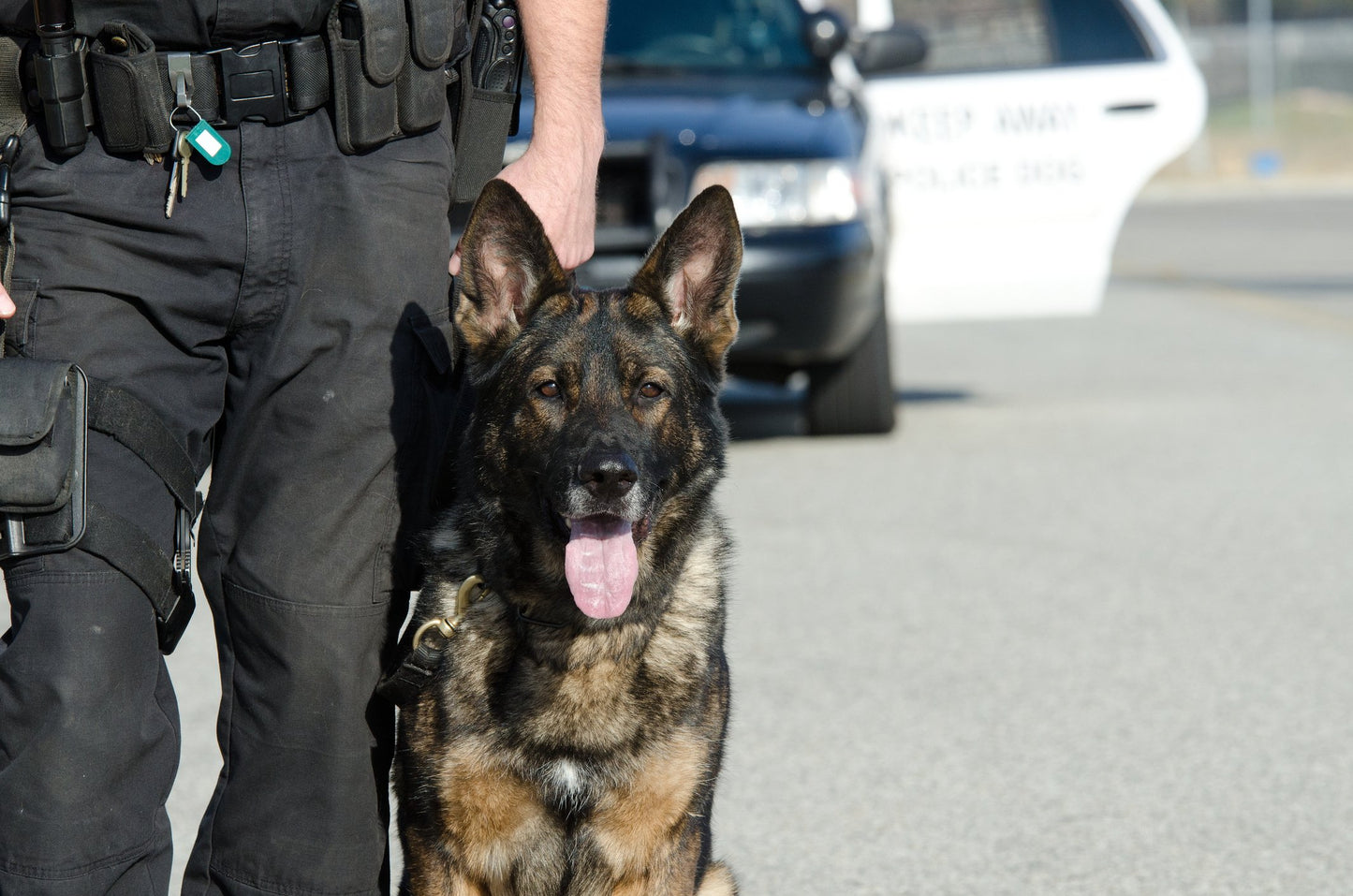 Police Working K-9 Donation for Safety and First Aid Equipment