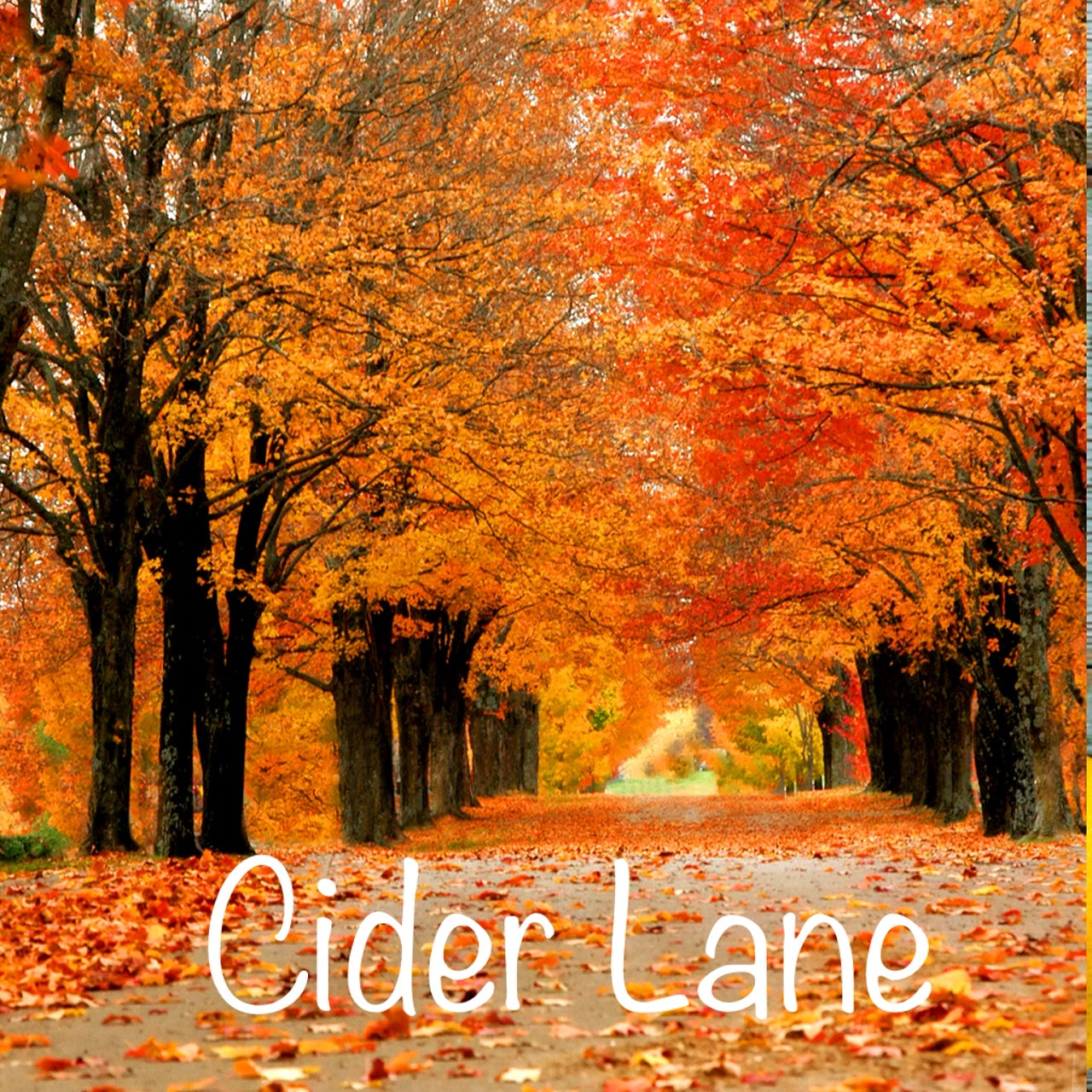 Cider Lane