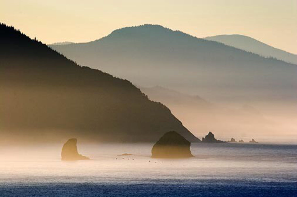 Ocean Mist