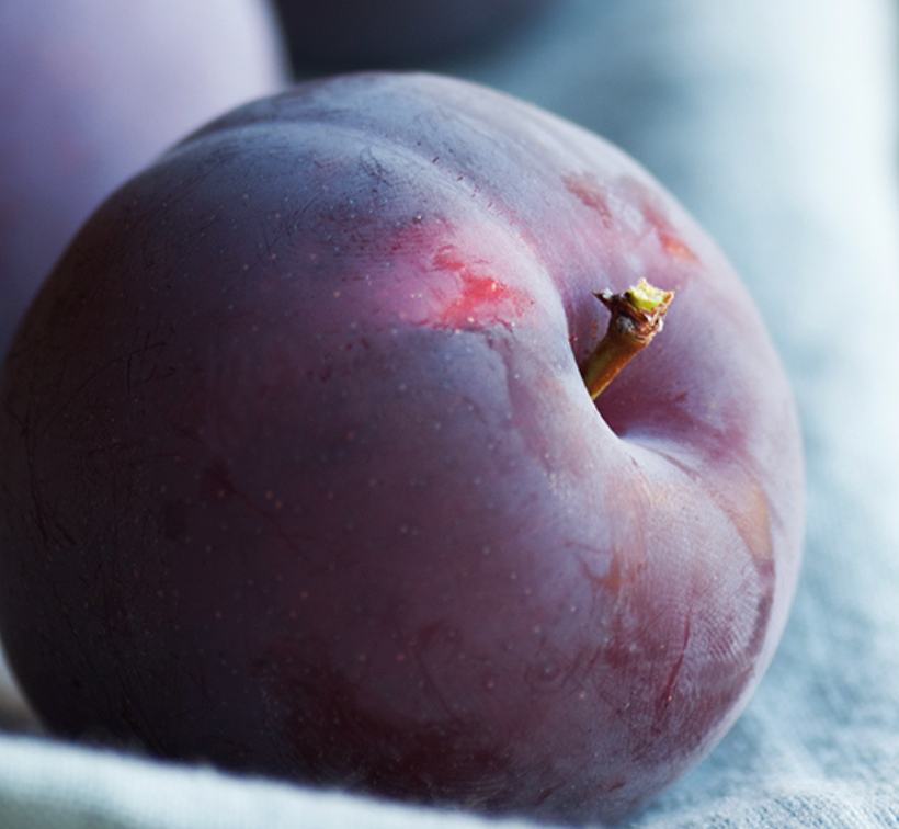 Cashmere + Plum