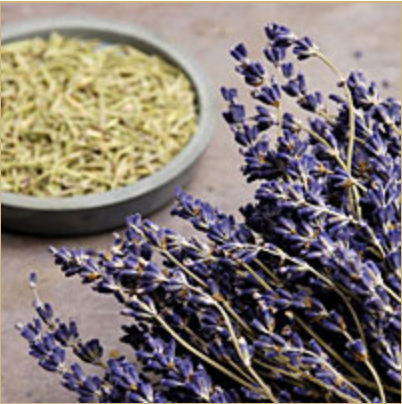 Lavender