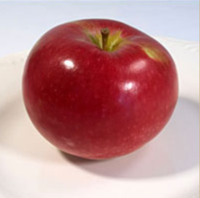 Apple Orchard