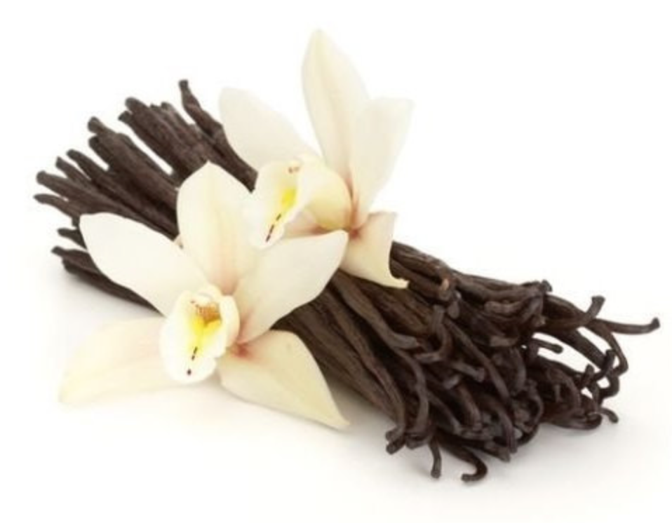 Vanilla Bean