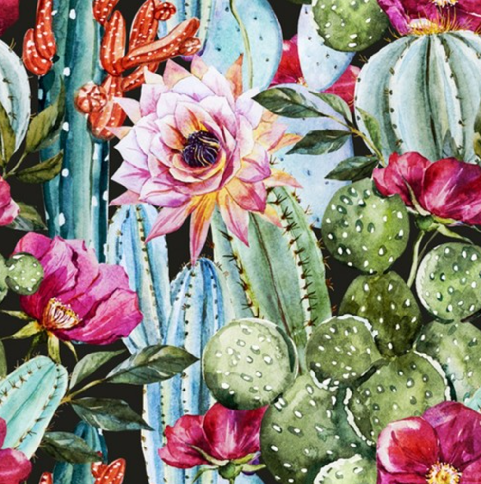 Desert Cactus