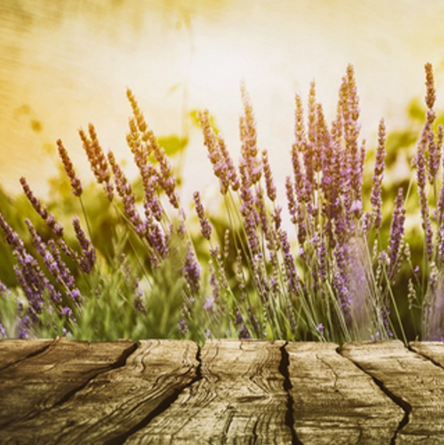 Cedar Leaf & Lavender