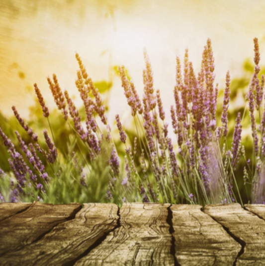 Cedar Leaf & Lavender