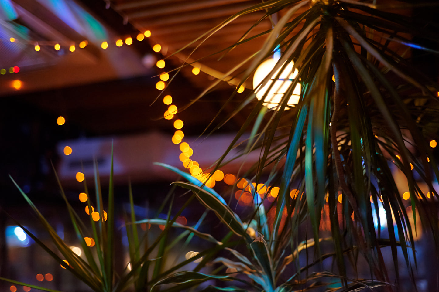 Summer Night
