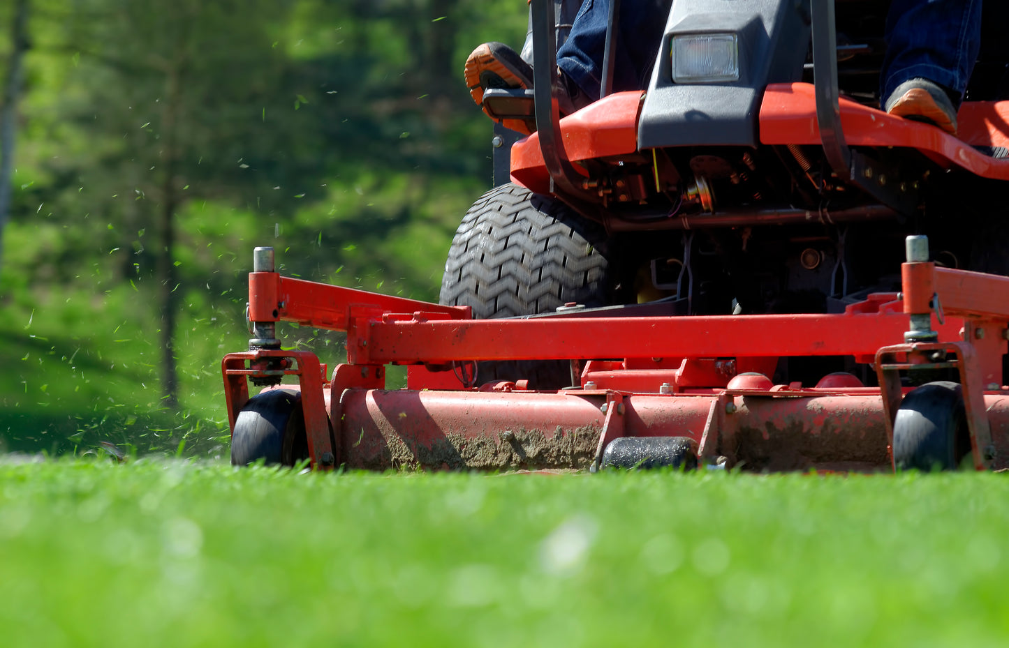 Fresh Cut Grass