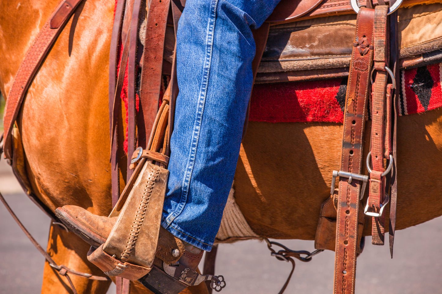 Saddle Shop