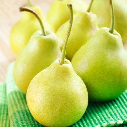 Fresh Green Bartlett Pear