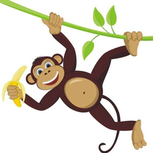 Monkey Farts
