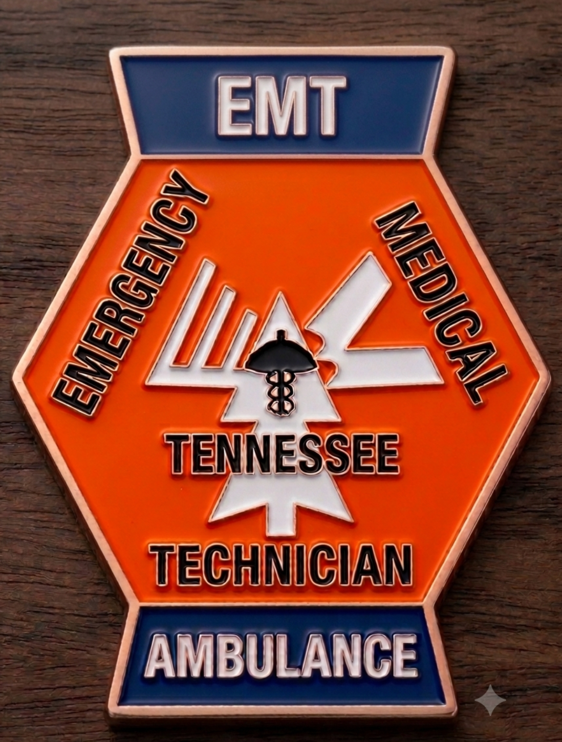 Retro Tennessee EMS Patch Challenge Coins