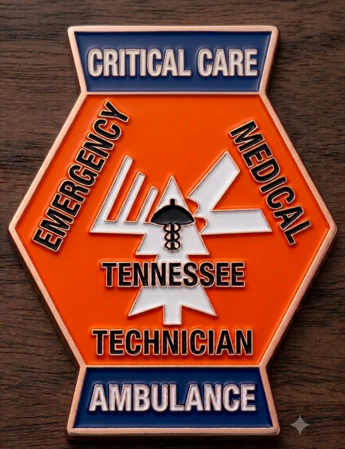 Retro Tennessee EMS Patch Challenge Coins