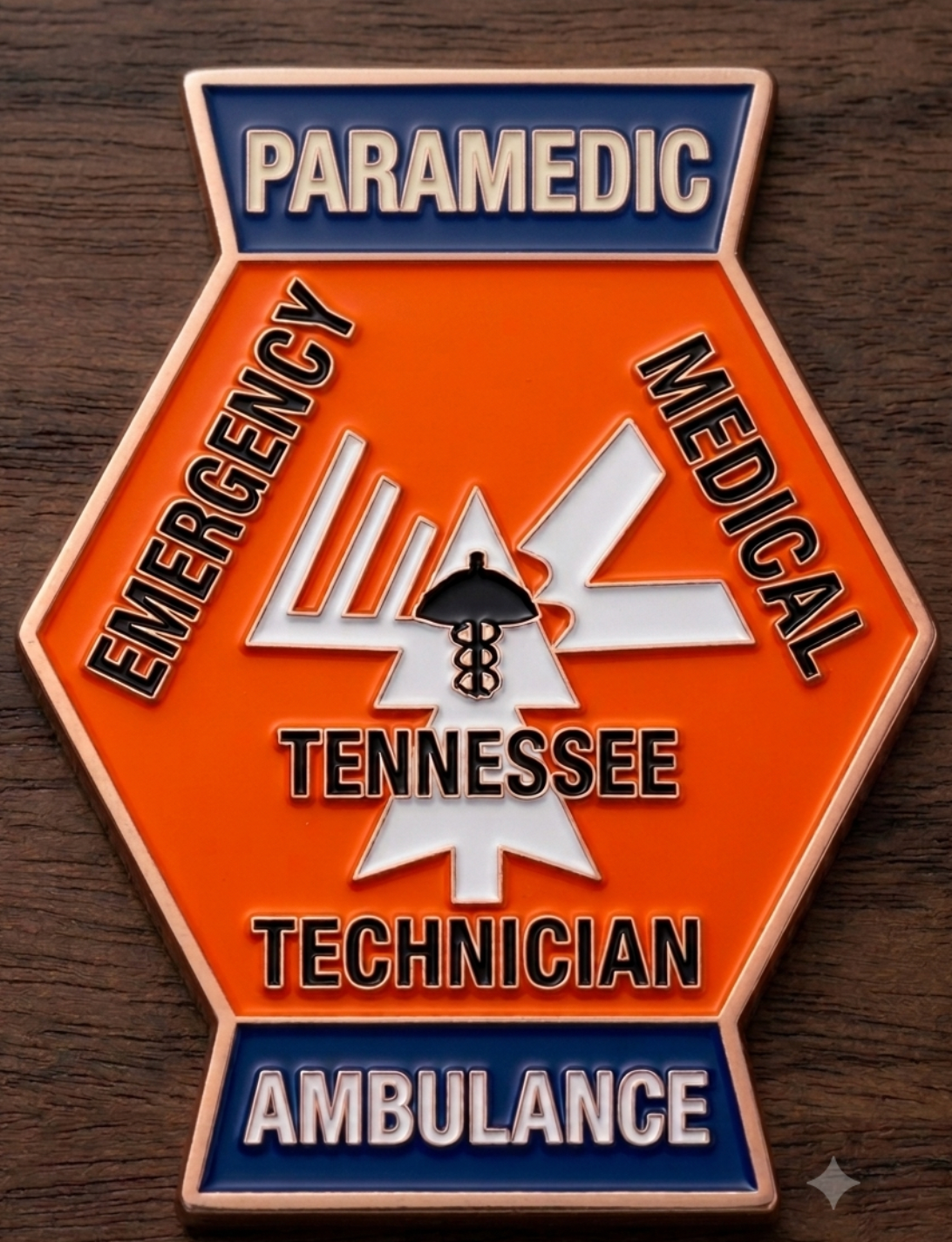 Retro Tennessee EMS Patch Challenge Coins