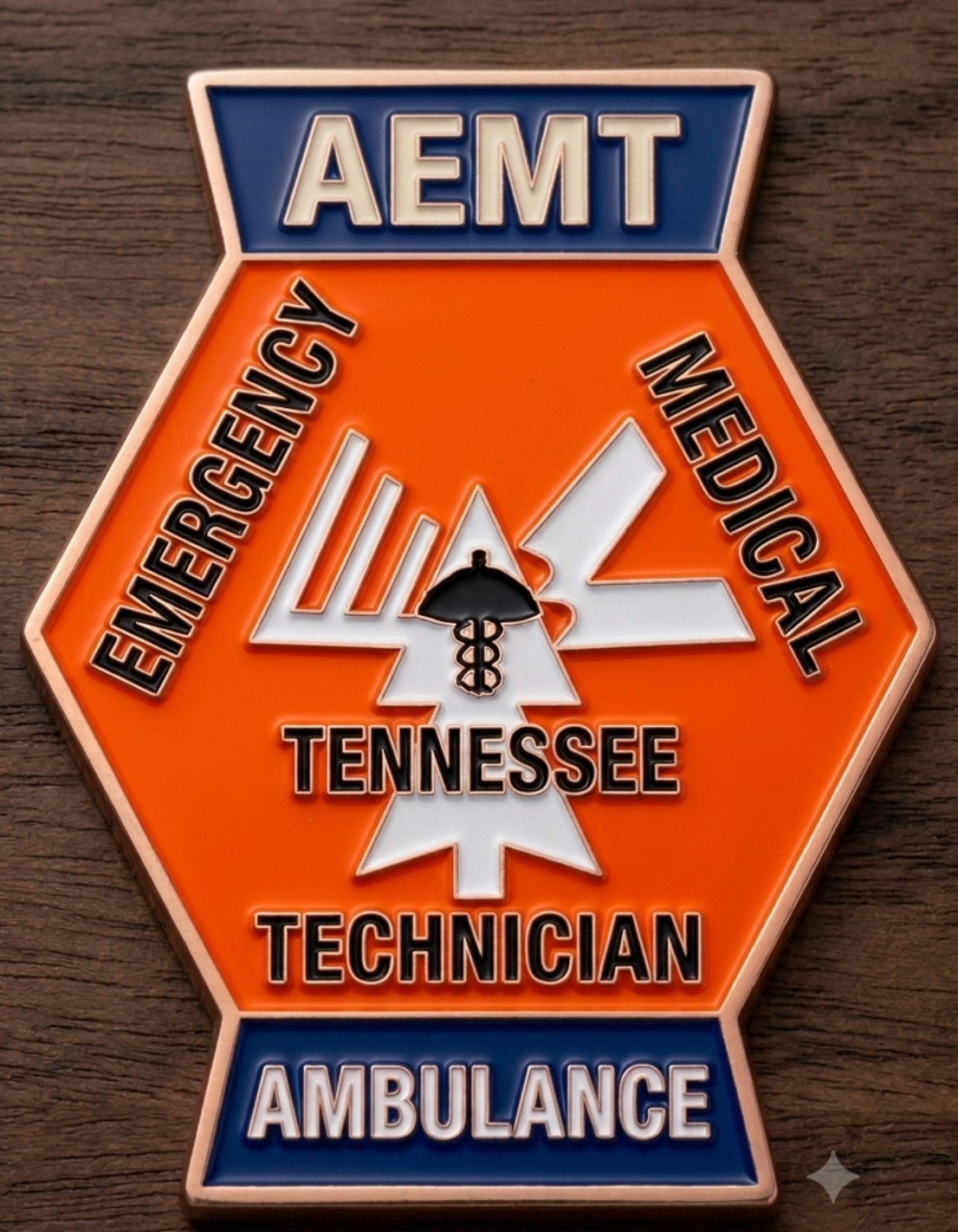 Retro Tennessee EMS Patch Challenge Coins